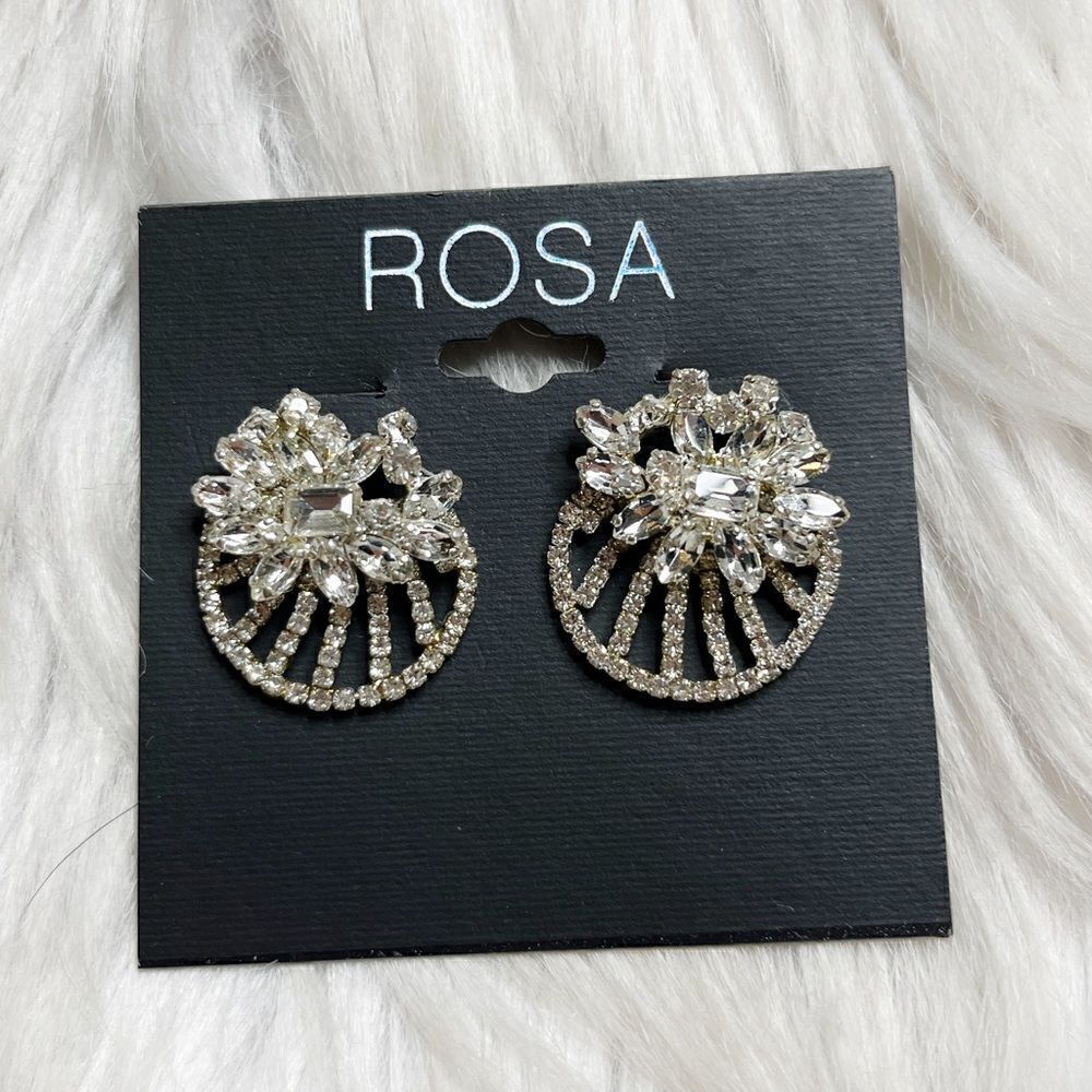 Rosa Post Rhinestone Fashion Earrings Silver